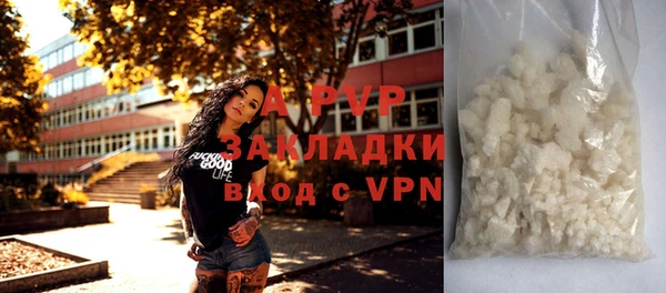 амф Балахна