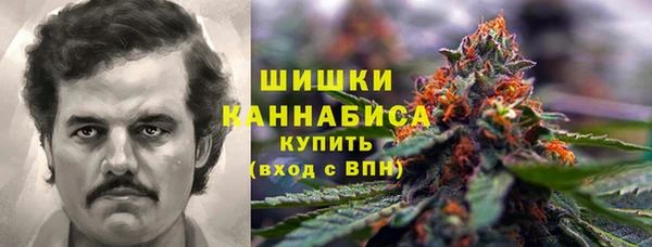 амф Балахна