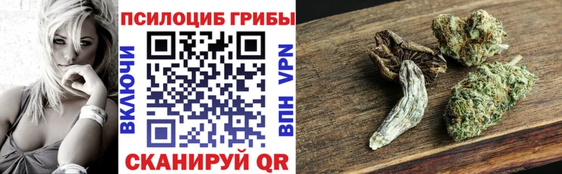 закладка  Волчанск  Псилоцибиновые грибы Cubensis 